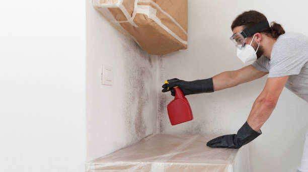Professional Attic Mold Remediation technician working in Marion, NC