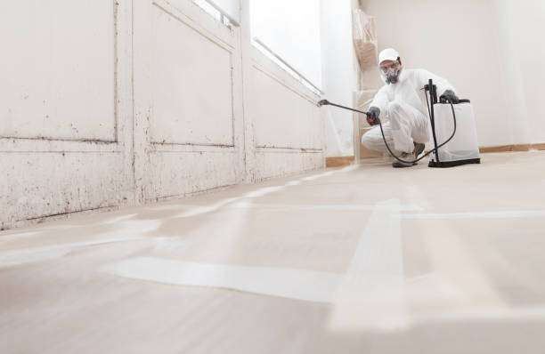 24/7 Emergency Attic Mold Remediation experts in Marion, NC