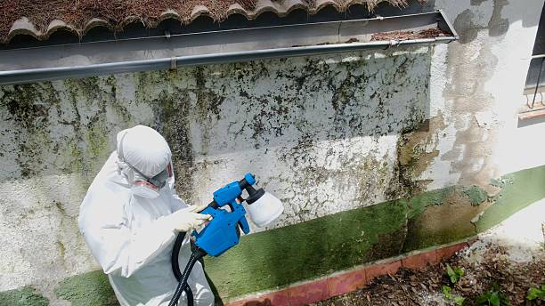 Top rated local Attic Mold Remediation specialists in Marion, NC